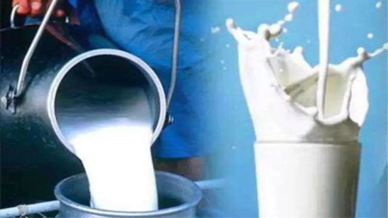 amul-milk-price-this-milk-brand-has-reduced-milk-prices