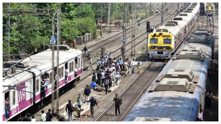 mumbai-local-train-news-buffalo-killed-in-collision-with-mumbai-local-local-services-disrupted