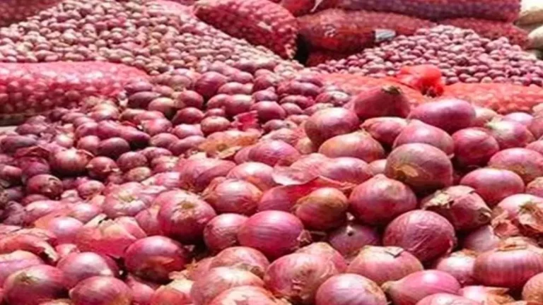 subsidy-for-onion-farmers-pending-onion-farmers-will-get-subsidy-maharashtra-government-approved-rs-28-crore-fund