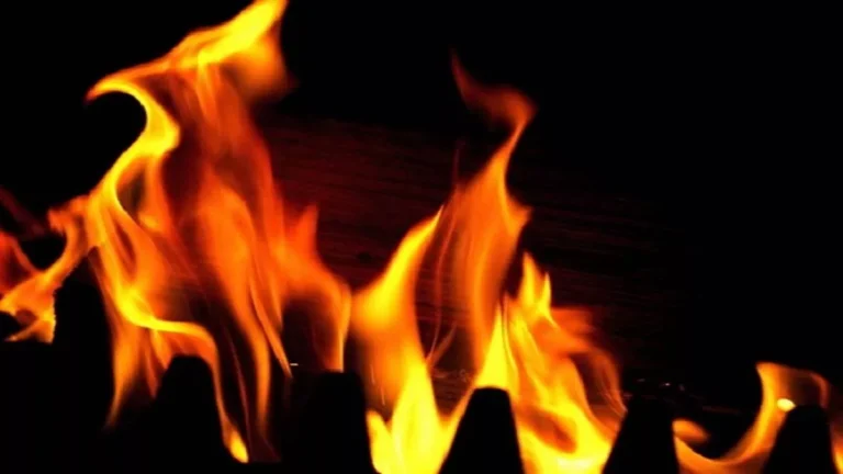 one-killed-6-injured-in-fire-at-ril-patalganga-linear-alkyl-benzene-lab-plant-raigad