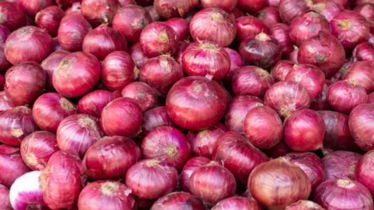 onion-growers-urge-maharashtra-cm-devendra-fadnavis-to-hold-urgent-meeting-in-lasalgaon-as-prices-crash