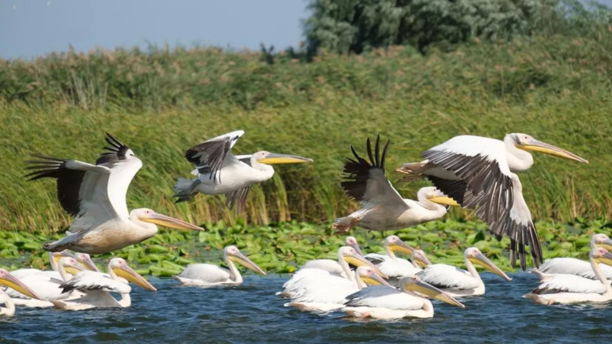 सुट्ट्यांच्या काळात गर्दीच्या ठिकाणापासून दूर या ऑफबीट ठिकाणांना द्या भेटी!