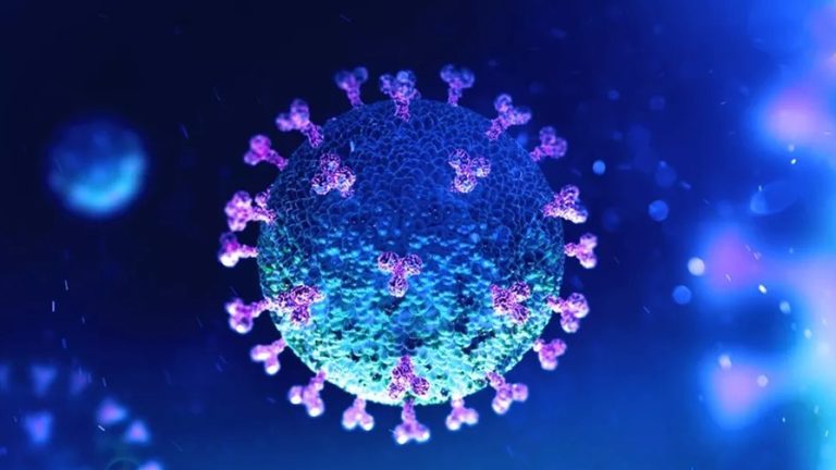 corona-cases-increase-in-maharashtra-76-new-covid-19-cases-detected-in-maharashtra-on-thursday-currently-425-active-cases