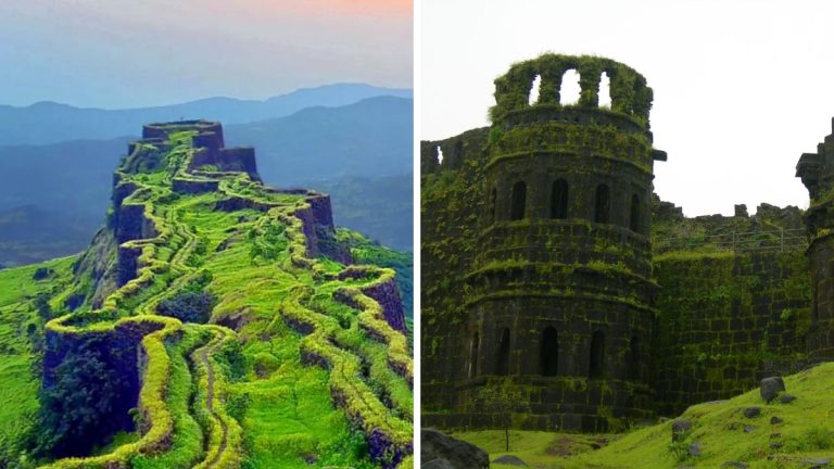 shiv-jayanti-special-forts-and-forts-in-maharashtra-telling-the-history-of-chhatrapati-shivaji-maharaj