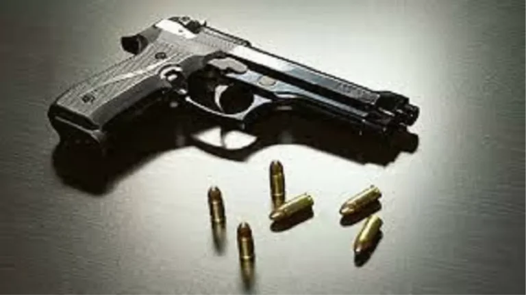 class-10-student-brings-pistol-to-school-and-threatens-teacher-in-kharagpur-after-being-slapped