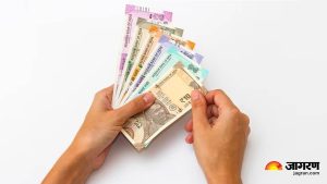 Dividend Calculation: कंपन्या लाभांश कधी आणि का वितरित करतात, काय आहेत अटी व शर्ती; जाणून घ्या संपूर्ण तपशील 