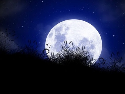 sharad-purnima-2026-when-is-kojagiri-purnima-why-goddess-lakshmi-worshipped-alongside-lord-vishnu