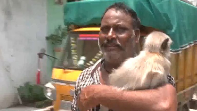 maharashtra-lok-sabha-election-2024-voting-live-voting-begins-on-8-seats-in-maharashtra-voting-on-a-total-of-88-seats-in-the-second-phase