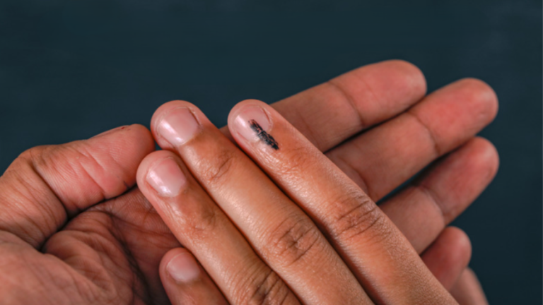 municipal-council-election-2025-detailed-election-dates-to-candidates-expenditure-limit-caste-validity-certificate-read-in-detail