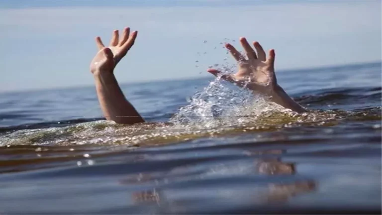 pune-ganpati-immersion-drowning-incidents-chakan-four-dead-2025