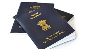 How To Apply For Passport: काय आहे वेगवेगळ्या पासपोर्ट रंगांचा अर्थ, त्यासाठी ऑनलाइन कसा करू शकता  अर्ज?