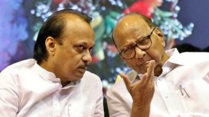 Maharashtra Politics: दोन्ही राष्ट्रवादीच  मनोमिलन नाही? अजित पवारसाठी संधीसाधू'ची शरद पवार यांची उपमा!