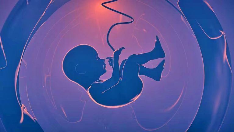 buldhana-pregnant-woman-with-rare-fetus-in-fetu-condition-doctor-diagnosed-maharashtra-news