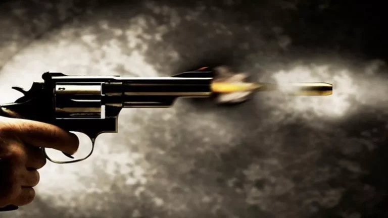 palghar-firing-robbers-fire-shots-near-jewellery-shop-in-palghar-no-injuries