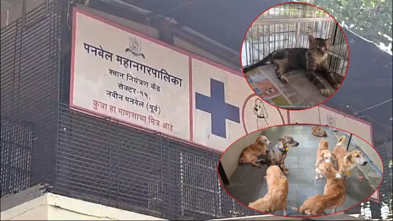 raigad-news-first-time-in-the-country-a-survey-of-dogs-and-cats-was-conducted-in-panvel-through-ai
