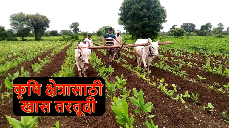maharashtra-budget-2025-read-all-announcements-related-to-agriculture-department