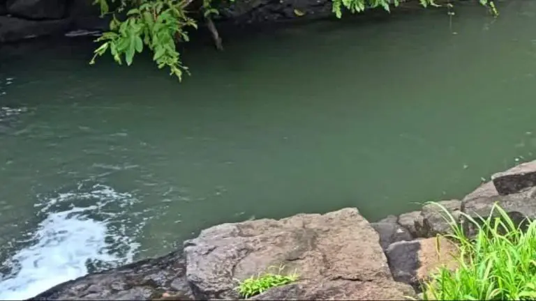 palghar-crime-news-body-of-20-year-old-girl-found-in-a-bag-in-vagh-river-at-palghar