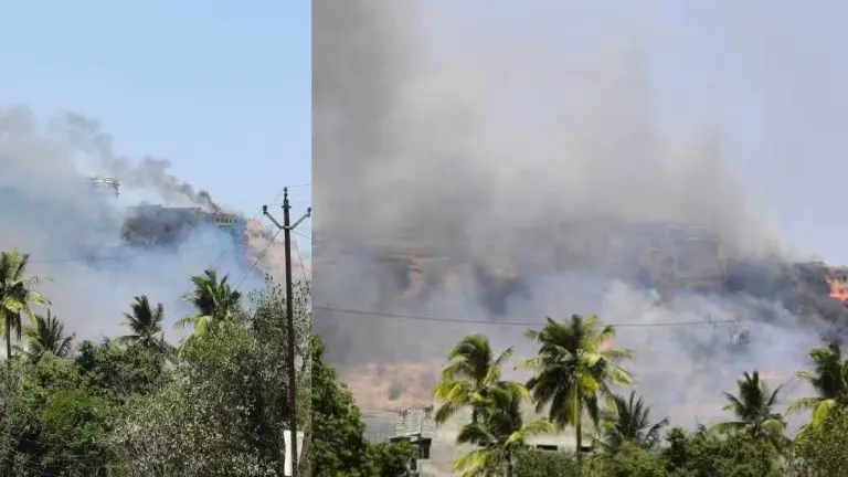 devgiri-fort-fire-devgiri-fort-caught-fire-due-to-cigarette-spark-40-monitor-lizards-burnt-in-fire