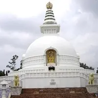 Vinesh Phogat यांची प्रकृती खालावली, अपात्र ठरल्यानंतर रुग्णालयात दाखल; हेल्थवर अपडेट