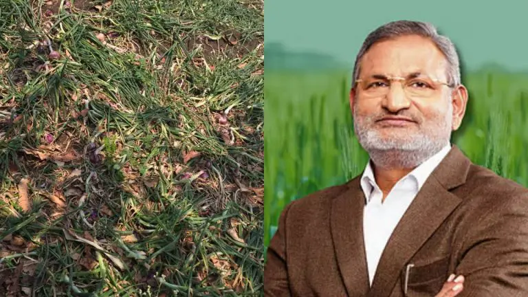 maharashtra-weather-update-heavy-rains-in-the-state-agriculture-minister-informs-that-30000-hectares-have-been-damaged