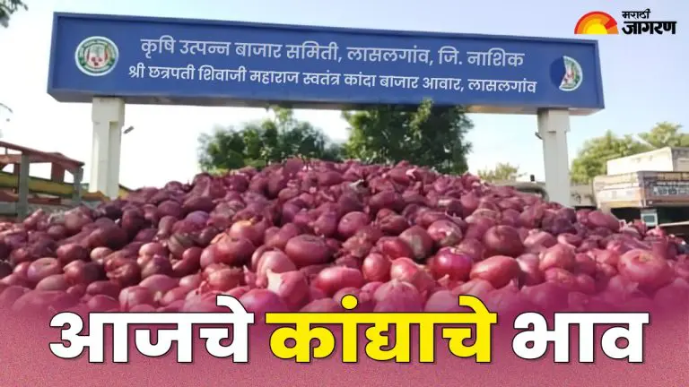 lasalgaon-onion-price-today-maharashtra-today-onion-price-in-apmc-lasalgaon-onion-prices-fall-by-rs-250