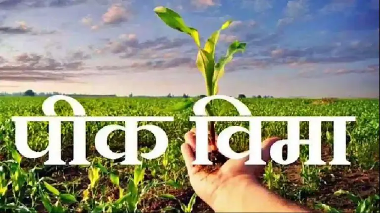 pik-vima-yojana-one-rupee-crop-insurance-scheme-now-closed-new-scheme-to-be-implemented