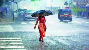 Rain Alert In Maharashtra: राज्याला मुसळधार पावसाने झोडपले, आजही मुसळधार पावसाचा अलर्ट