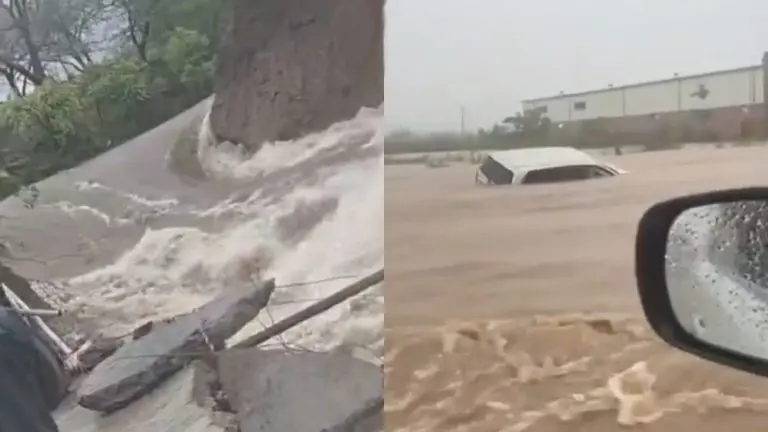 maharashtra-rains-16-people-died-due-to-rain-related-incidents-in-maharashtra-since-may-24-govt
