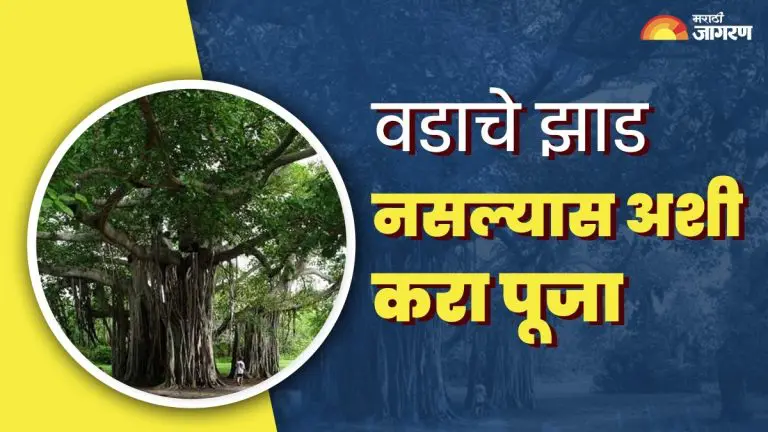 vat-savitri-2025-you-can-worship-this-tree-during-vat-savitri-vrat