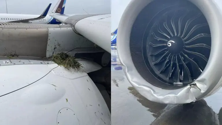 air-india-plane-3-tires-of-air-india-plane-burst-during-landing-and-plane-skidded-off-runway-on-mumbai-airport