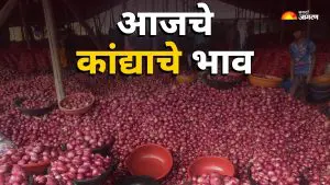 Lasalgaon Onion Price Today: कांद्याचे भाव 400 रुपयांनी कोसळले, शेतकऱ्यांना मोठा फटका, जाणून घ्या आजचा कांद्याचा भाव