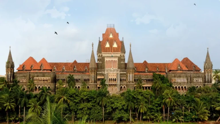 bombay-high-court-asks-to-ec-if-sir-excludes-citizens-from-voterslist-then-what-is-its-purpose-marathi-news