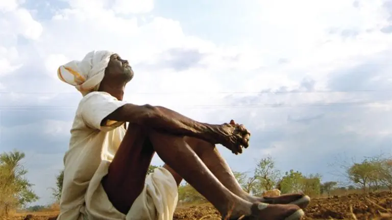 maharashtra-news-farmers-in-marathwada-in-trouble-due-to-lack-of-rain-double-sowing-crisis-crops-of-lakhs-of-hectares-in-danger