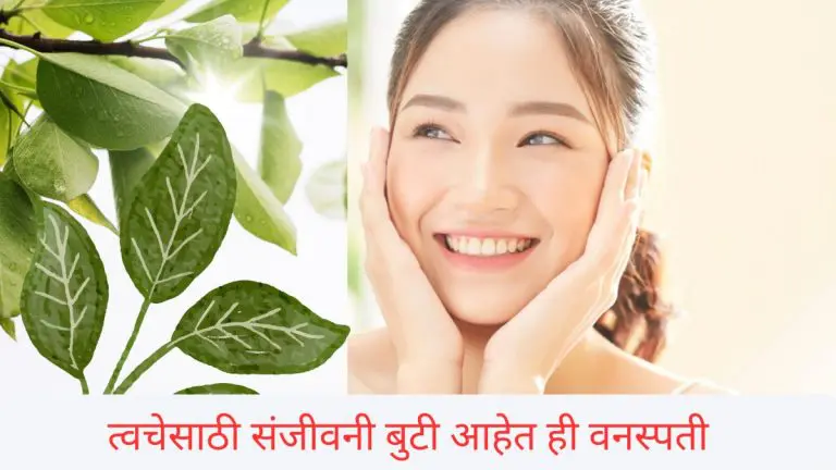 herbal-leaves-for-skin-use-these-5-plants-to-make-your-skin-glow