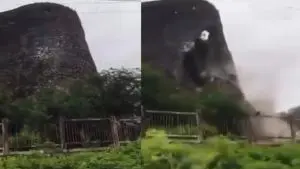 Balapur Fort Collapse: अकोल्यात मुसळधार पावसाने किल्लाचा बुरुज ढासळला; Video व्हायरल