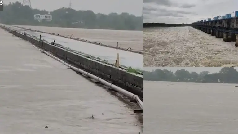 maharashtra-rains-update-cloudburst-like-rains-everywhere-33-gates-of-gosikhurd-dam-opened-many-roads-closed
