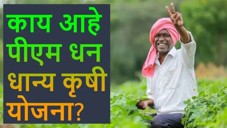 what-is-pm-dhan-dhanya-krishi-yojana-boosting-agriculture-in-backward-districts-know-details-about-scheme