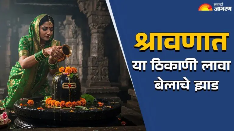 shravan-2025-plant-a-betel-tree-at-this-place-in-shravan