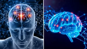 Danger Signs For Brain: या दैनंदिन सवयी तुमच्या मेंदूसाठी आहेत धोक्याचे संकेत, स्मरणशक्तीवर होतो परिणाम