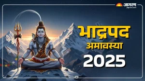 Bhadrapada Amavasya 2025 Daan: भाद्रपद अमावस्येला  करा या गोष्टी, पितरांचा राग नाहीसा होईल