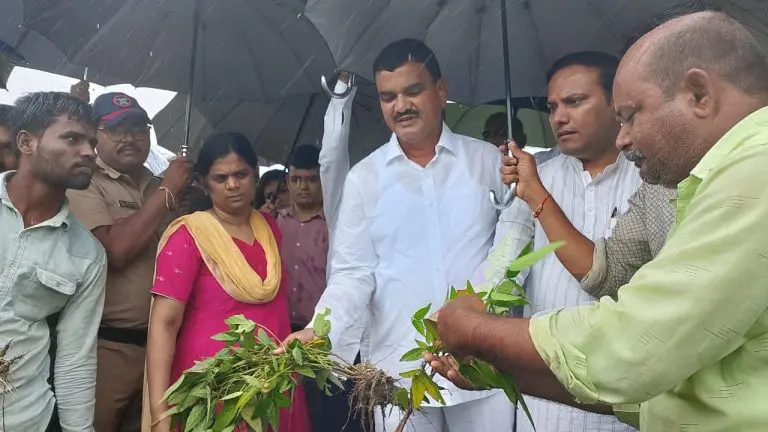 agriculture-minister-datta-bharne-said-crops-on-20-lakh-acres-damaged-due-to-heavy-rains-in-maharashtra
