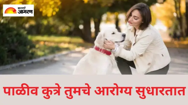 international-dog-day-2025-pet-dogs-also-improve-your-health