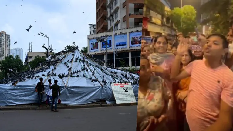 kabutar-lovers-are-protesting-against-bmc-administration-after-court-banned-feeding-kabuturs-in-mumbai