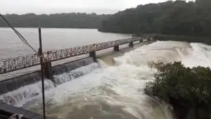 Radhanagari Dam: राधानगरी धरणाचे 5 दरवाजे उघडले, नागरिकांना काळजी घेण्याचे आवाहन
