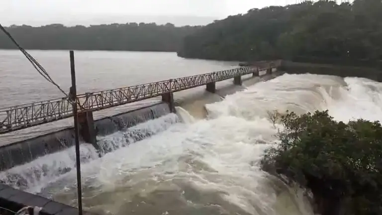 radhanagari-dam-5-gates-of-radhanagari-dam-opened-in-kolhapur-citizens-urged-to-take-care