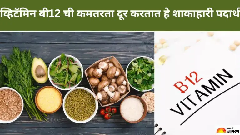 vitamin-b12-deficiency-these-5-vegetarian-foods-can-help-you-overcome-vitamin-b12-deficiency