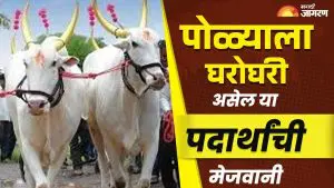 Bail Pola 2025: पोळ्याच्या थाटामाटात बैलपूजा आणि घरोघरी  रंगेल या गोड आणि चविष्ट पदार्थांची मेजवानी