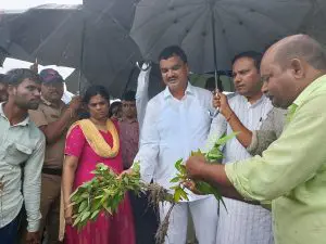 Maharashtra Rains: राज्यात अतिवृष्टीमुळे 42,84,846 एकरवरील पिकांचे नुकसान; कृषी मंत्र्यांनी केलं ‘हे’ आवाहन