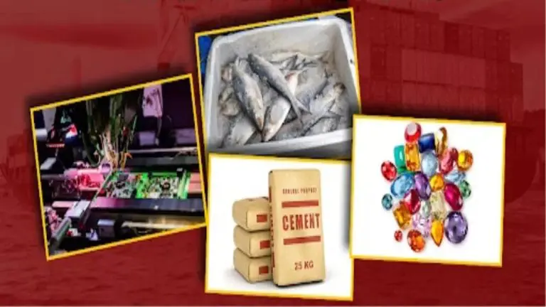 what-does-china-buy-from-india-fish-salt-tea-and-cotton-among-top-imports-in-2024