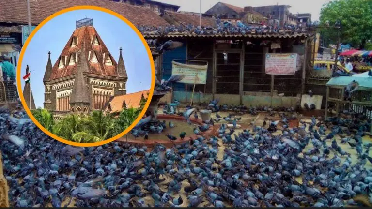 dadar-kabutarkhana-issue-mumbai-high-court-orders-formation-of-special-committee-maintains-ban-on-kabutarkhana-for-now
